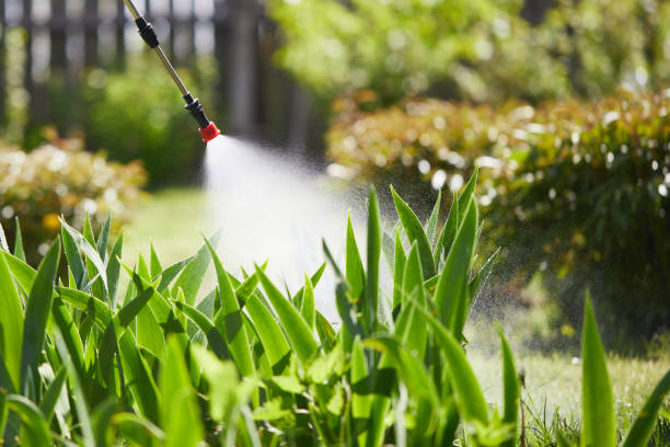Tamper-Resistant Bait Stations for Rodents in Bulverde