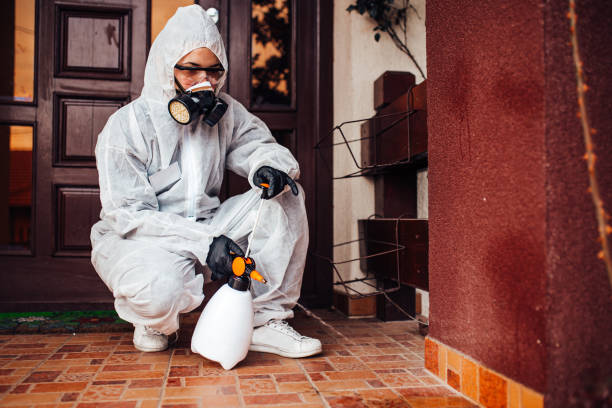 Attic and Crawl Space Rodent Treatment in Bulverde