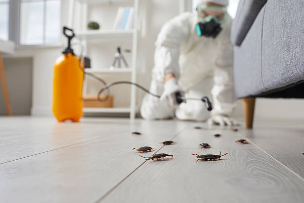 Commercial Rodent Management in Bulverde